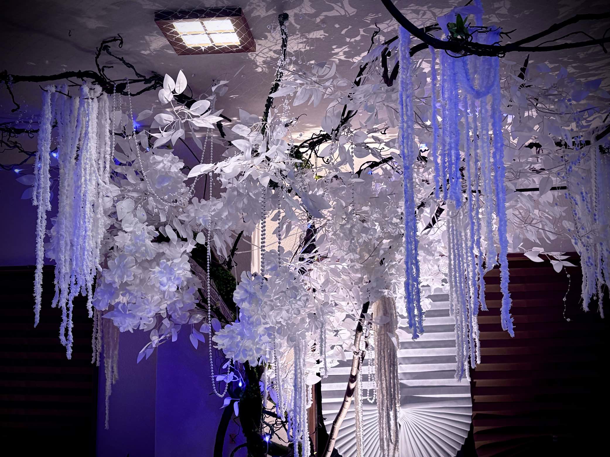 白花の天景